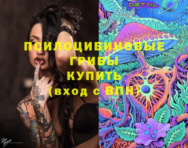 молекула духа Алексин