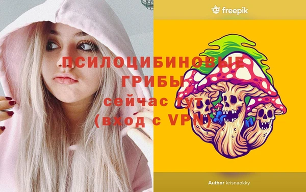 spice Абинск