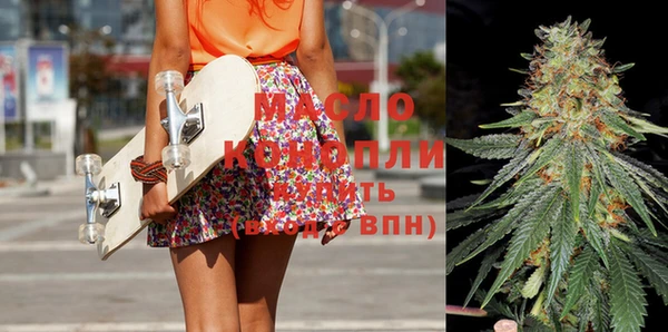 тгк Абаза