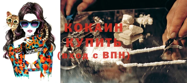 тгк Абаза