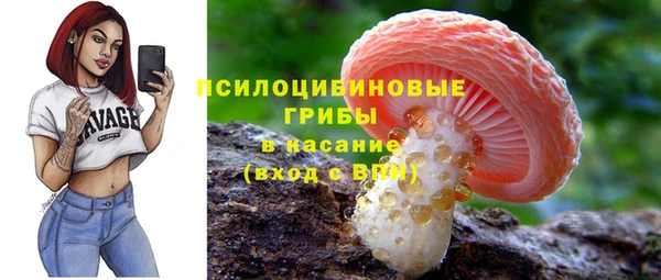 тгк Абаза