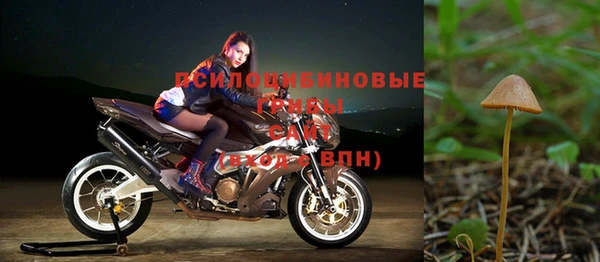 spice Абинск