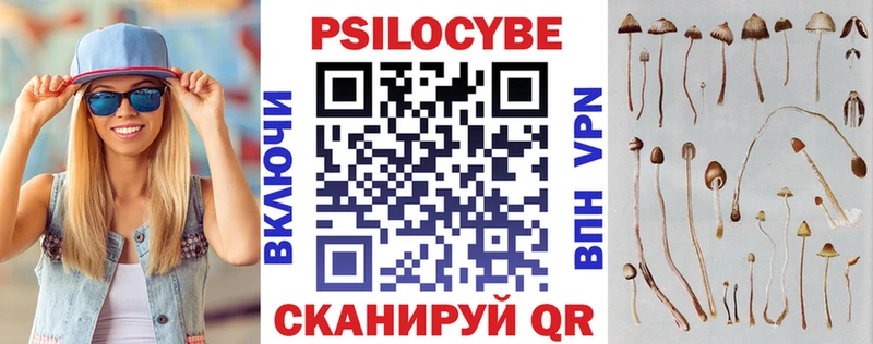 мега как зайти  Людиново  Псилоцибиновые грибы мицелий 