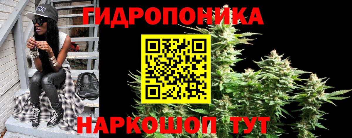 Людиново  Канабис гибрид  Шишки марихуана Bruce Banner  Канабис ГИДРОПОН  Вход с VPN 